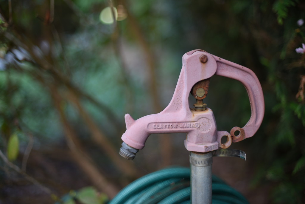 Pink Faucet by mamabec