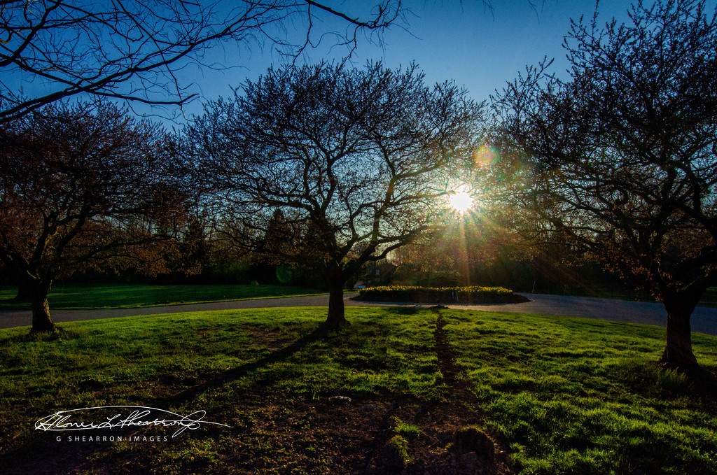 Sunset Shadows at Inniswood by ggshearron