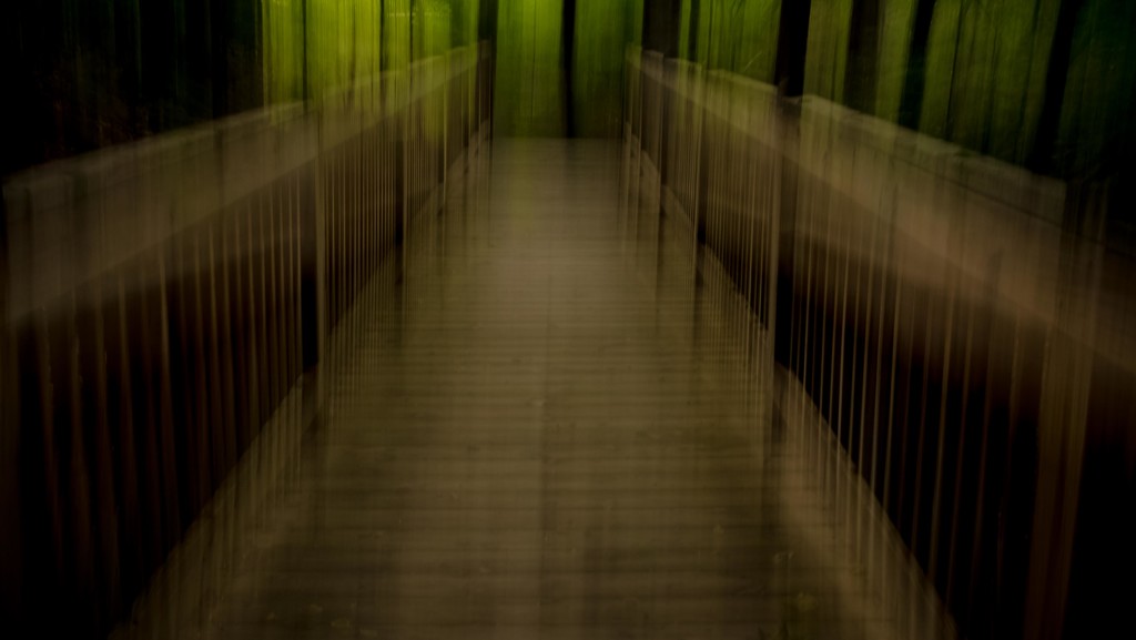 The Bridge in the Woods ICM by darylo