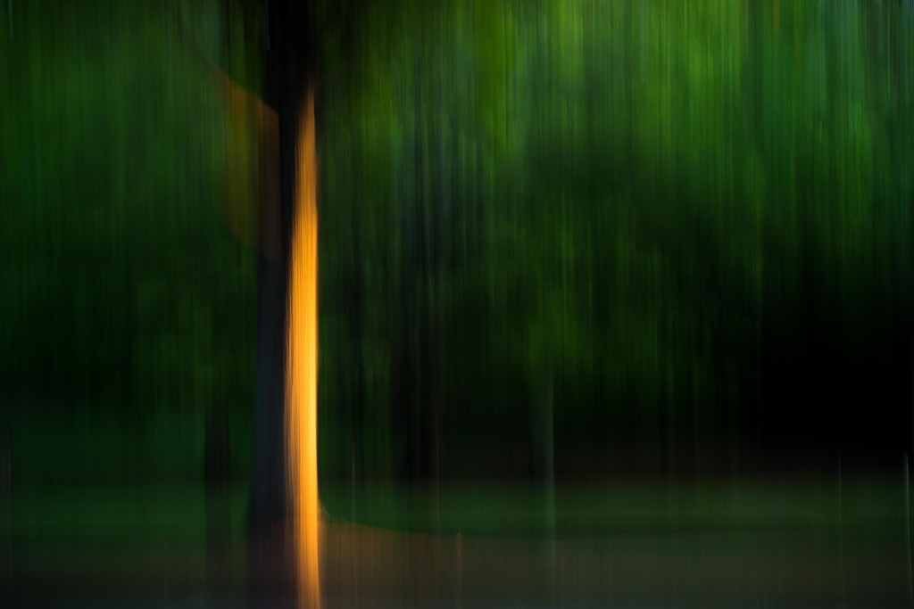 The Golden Hour ICM by darylo