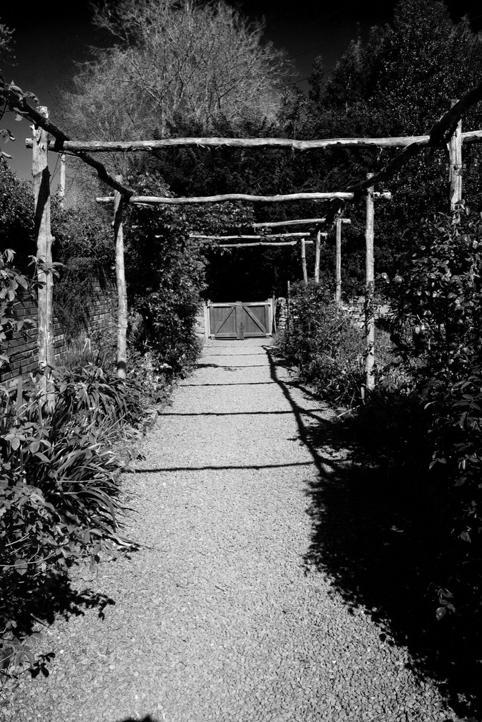 Path in the walled garden by allsop
