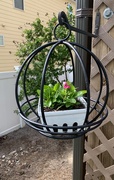 23rd Apr 2020 - New plant holder. Made in the USA which makes it even better