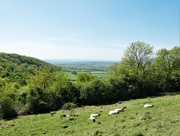 22nd Apr 2020 - View over the Levels