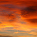 Sunset by larrysphotos