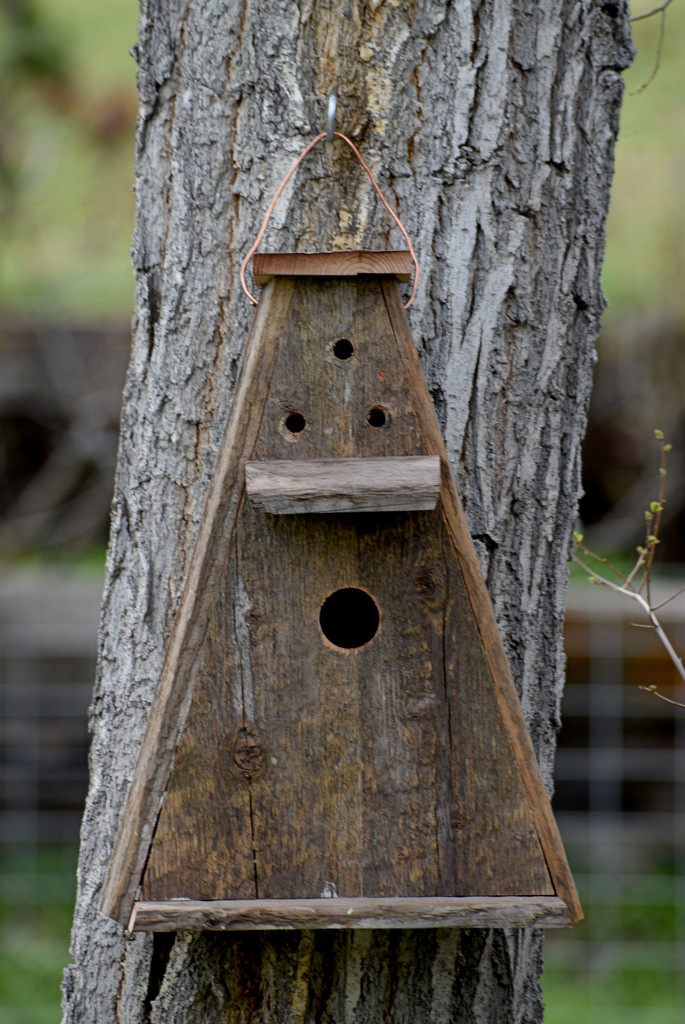 The Newest Birdhouse... by bjywamer