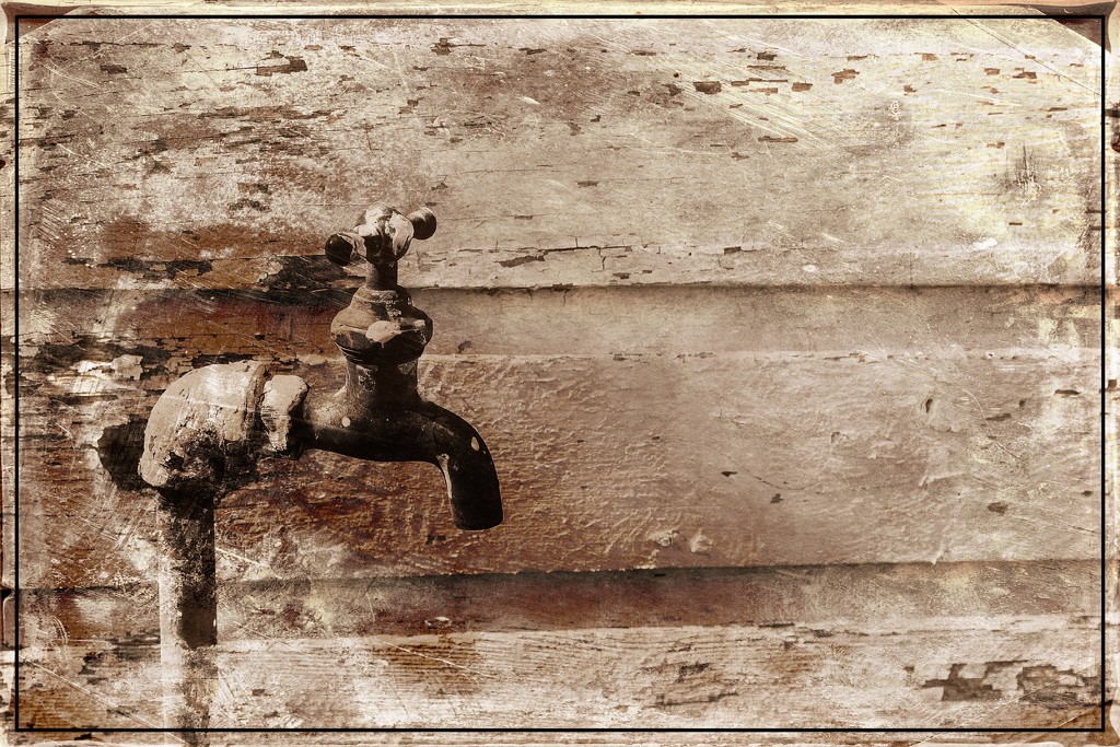 Water Spicket by an Old Barn by olivetreeann