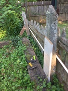 17th Apr 2020 - "Fixed" the garden fence