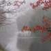 Foggy autumn day by maureenpp