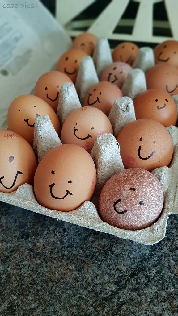 Happy Eggs by serendypyty