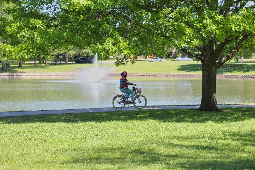 Bicycling in the Park by judyc57