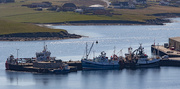 23rd Apr 2020 - Scalloway Harbour