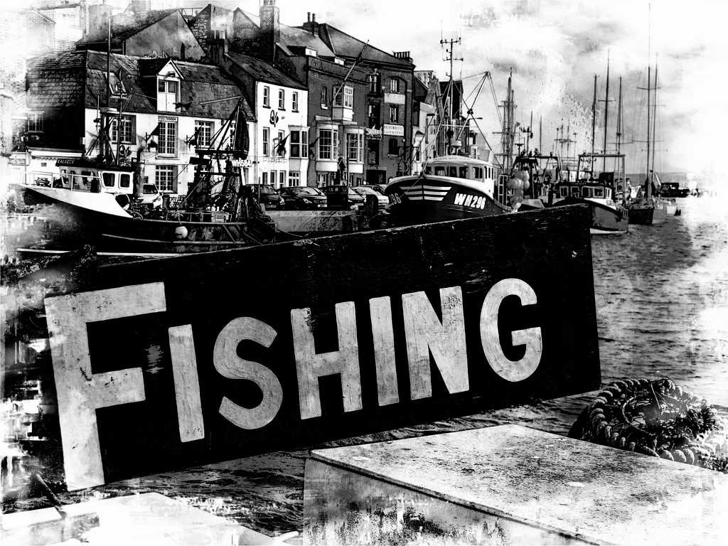 0423 - Fishing at Weymouth by bob65