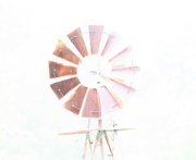 23rd Apr 2020 - Watching a windmill