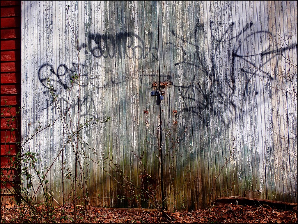 Graffiti on the Barn Doors by olivetreeann