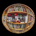 Home LIbrary:  Eric Carle  by jyokota