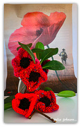 24th Apr 2020 - Knitted Poppies...