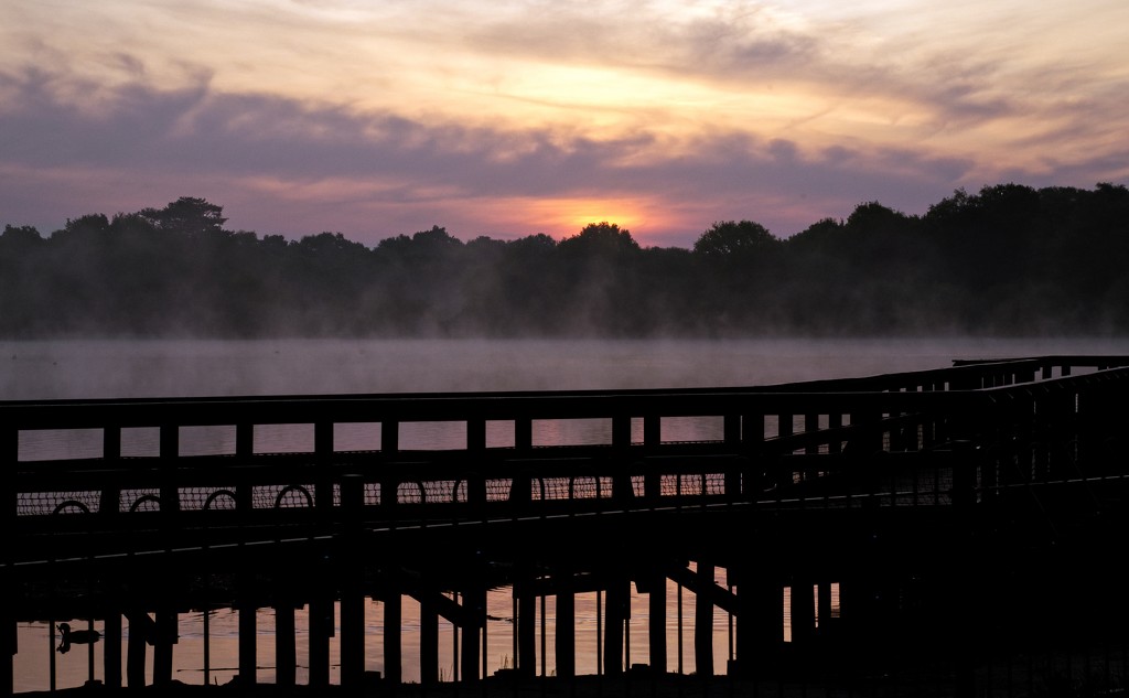 Boardwalk mist by moonbi