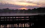 24th Apr 2020 - Boardwalk mist