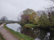 10th Apr 2020 - Lancaster Canal