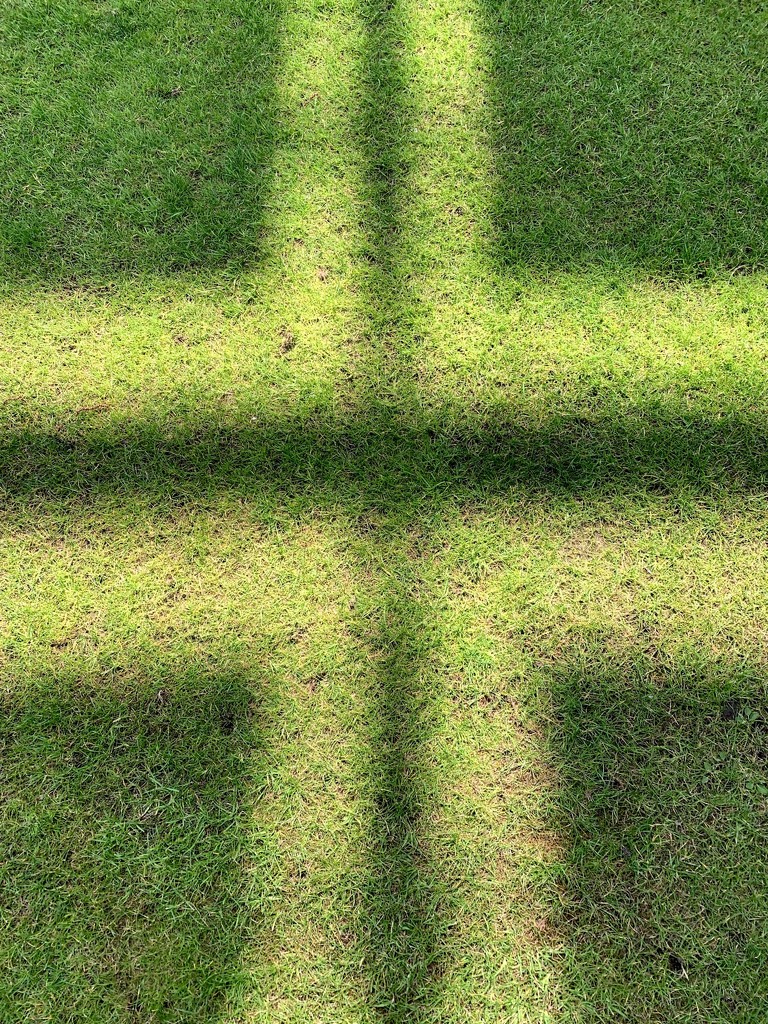Sun light on grass by 365nick
