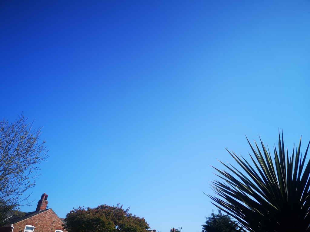 Sky ~ blue by plainjaneandnononsense
