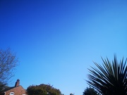 24th Apr 2020 - Sky ~ blue