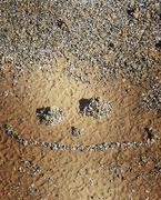 24th Apr 2020 - Smile, You're on the Beach!