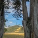 Through the Trees - One Tree Hill by creative_shots