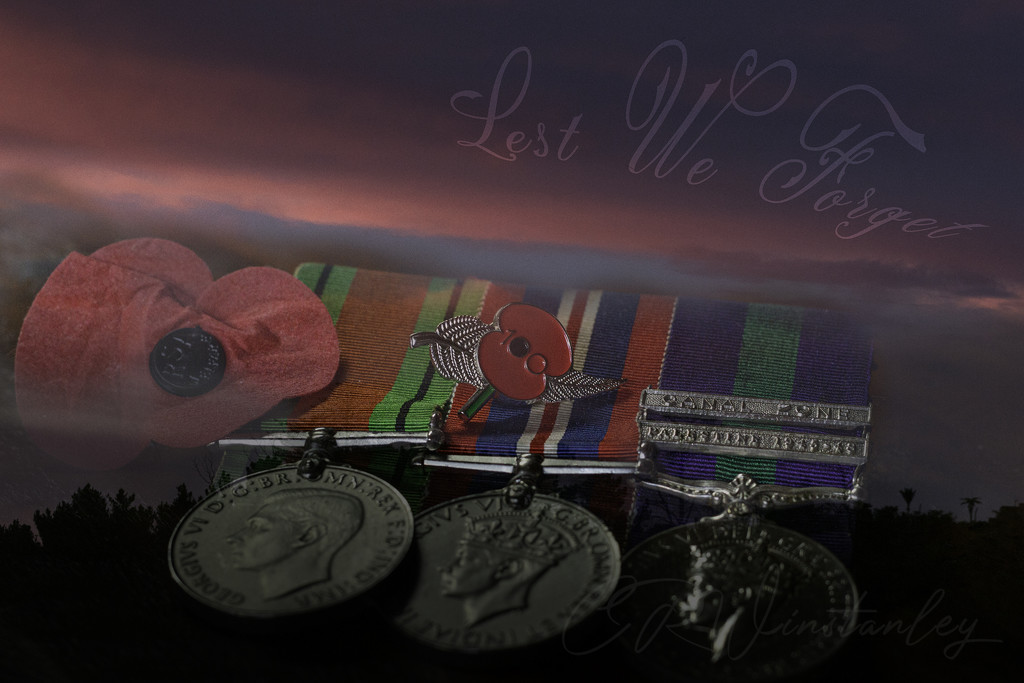 Lest We Forget by kipper1951