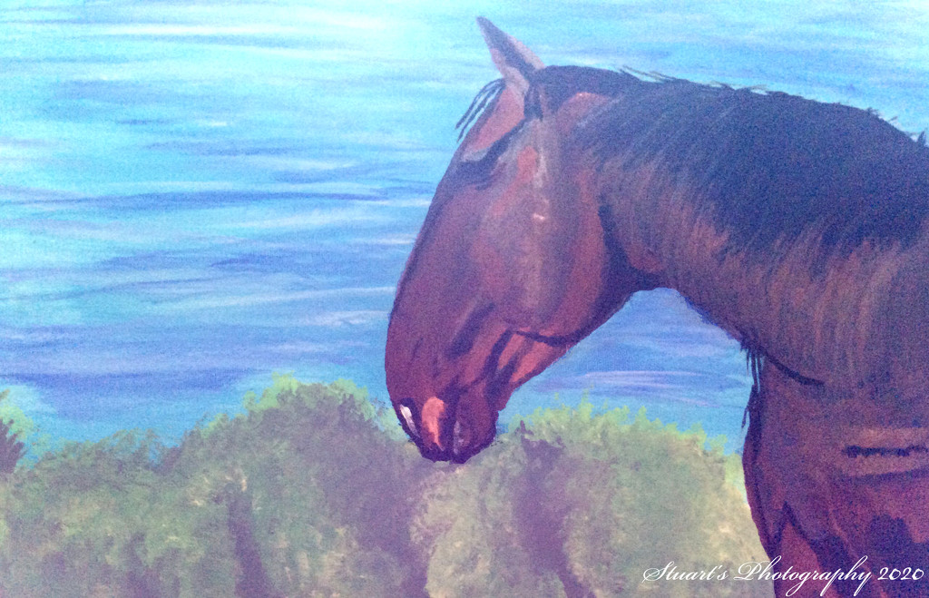 Horse (painting) by stuart46