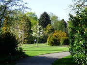 25th Apr 2020 - A Quiet Day in Homestead Park