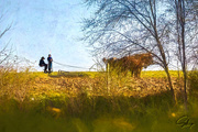 19th Apr 2020 - Farming Amish Style