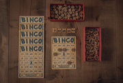 25th Apr 2020 - bingo!
