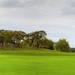 Panorama of the Domain , Auckland by creative_shots