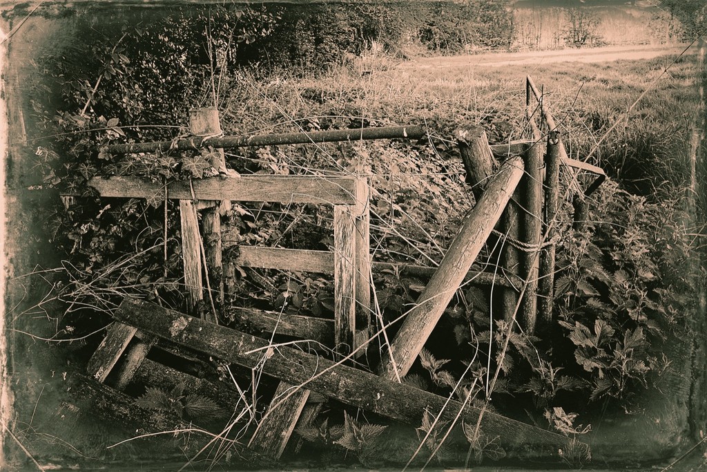 Fence and Gate by allsop