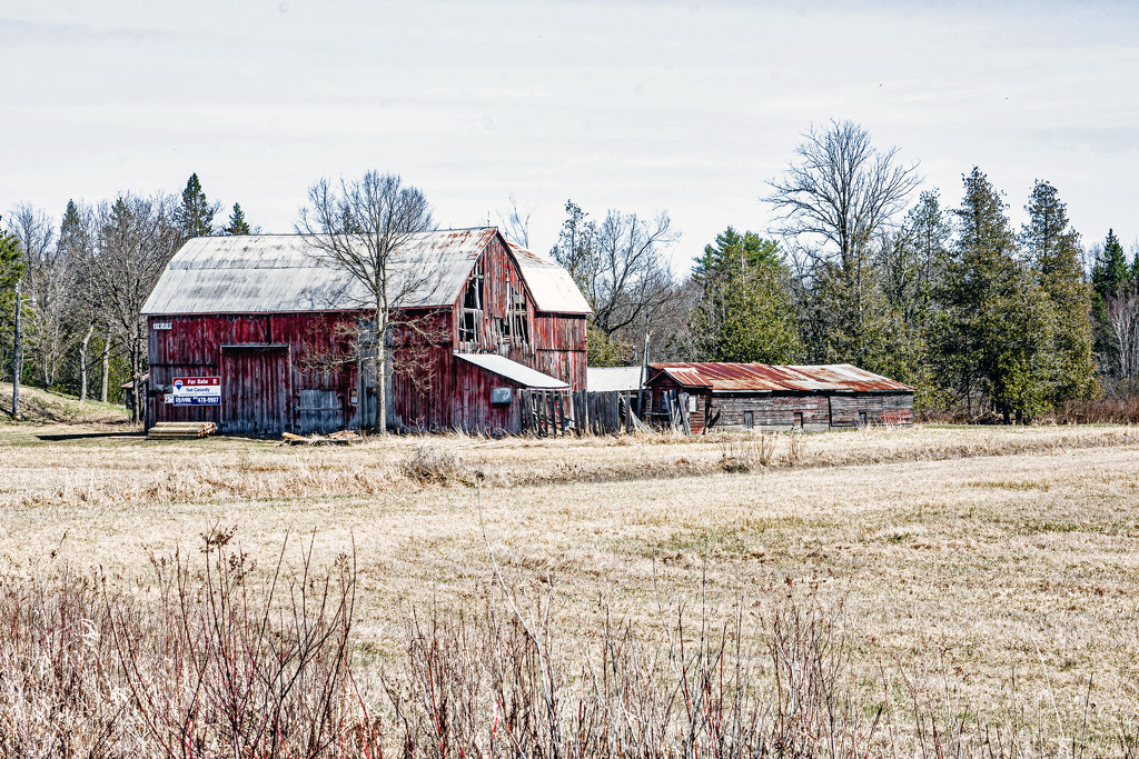 Rustic Barn by farmreporter