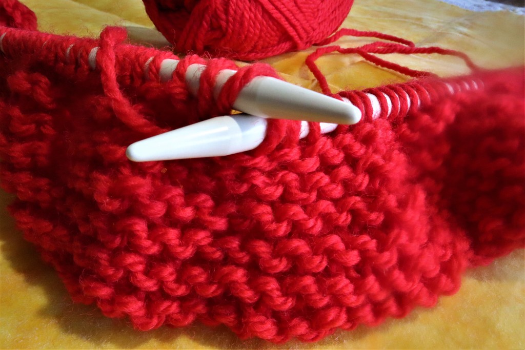RED 5 Knitting by sandradavies