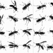 Wasp Collage by kareenking