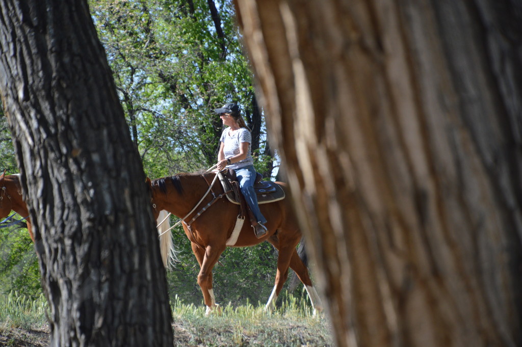 Riding In The Bosque. by bigdad