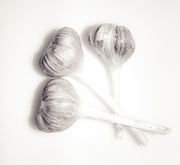 9th Apr 2020 - Garlic