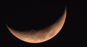 27th Apr 2020 - Moon Shot for the Day!