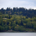 Seen From A Distance  by seattlite