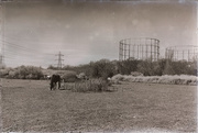 21st Apr 2020 - Grazing by the gas holders