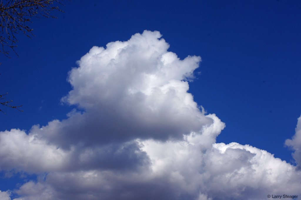 Cumulus cloud by larrysphotos
