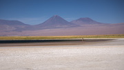 28th Apr 2020 - Salt Flats in the Atacama Desert