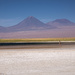Salt Flats in the Atacama Desert by taffy