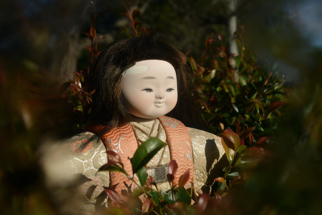 Day 29 Japanese dolls - soft focus in the hedge by jeneurell