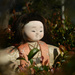 Day 29 Japanese dolls - soft focus in the hedge by jeneurell