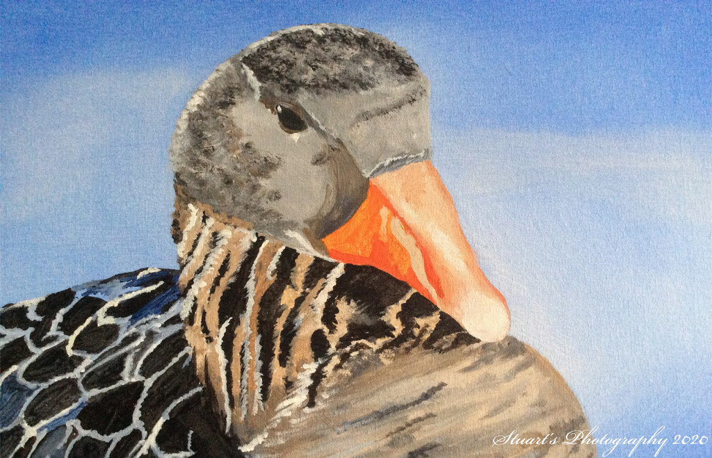 Female Goose (painting) by stuart46