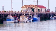 29th Apr 2020 - Fishing Port